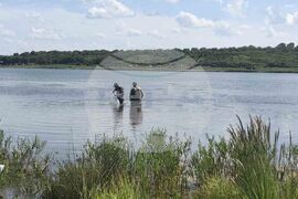 Шумен - язовир - зарибяване