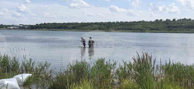 Шумен - язовир - зарибяване 