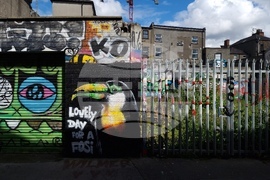 Ирландия - Дъблин - изглед - евроизбори - ежедневие