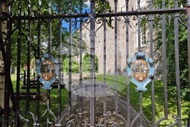 Ирландия - Дъблин - изглед - евроизбори - ежедневие