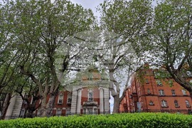 Ирландия - Дъблин - изглед - евроизбори - ежедневие