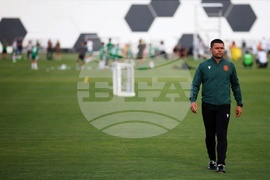 Александър Димитров - брифинг