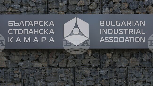 Българската стопанска камара пусна традиционната си анкета "Годината през погледа на бизнеса"