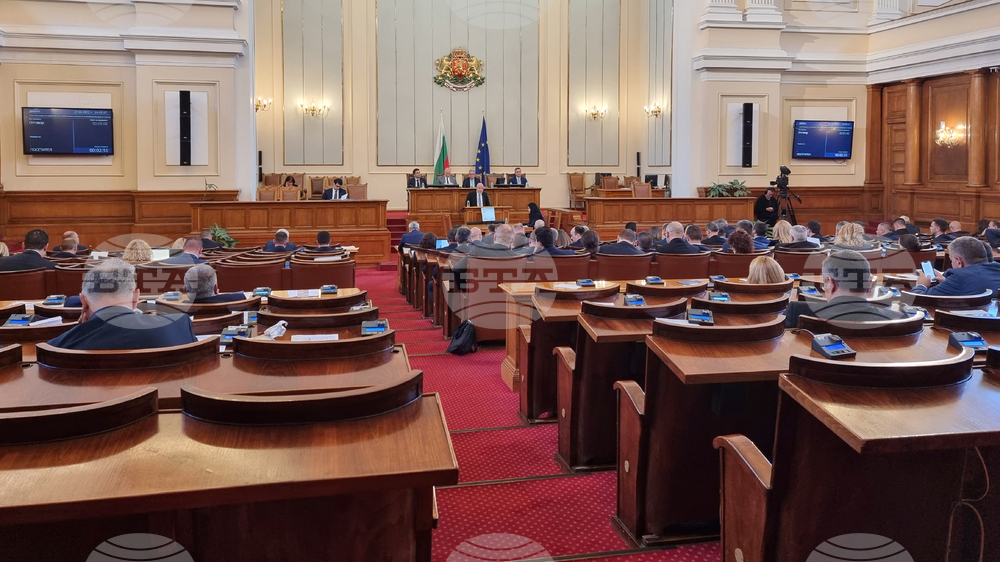 Парламент - Димитър Радев