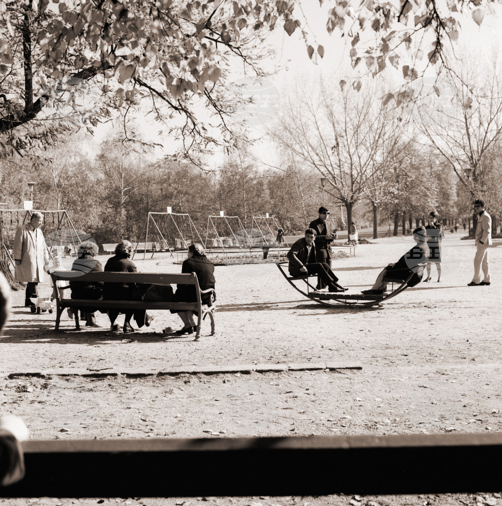Observances: November 6