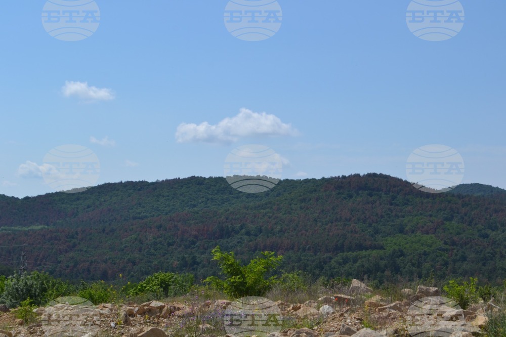 Ministry of Agriculture and Food: National Forests Enter Fire Season