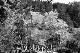 Парк “Изворите”