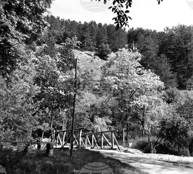 Парк “Изворите”