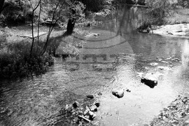 Парк “Изворите”