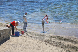 Варна - крайбрежна алея - Шокъров канал - инспекция