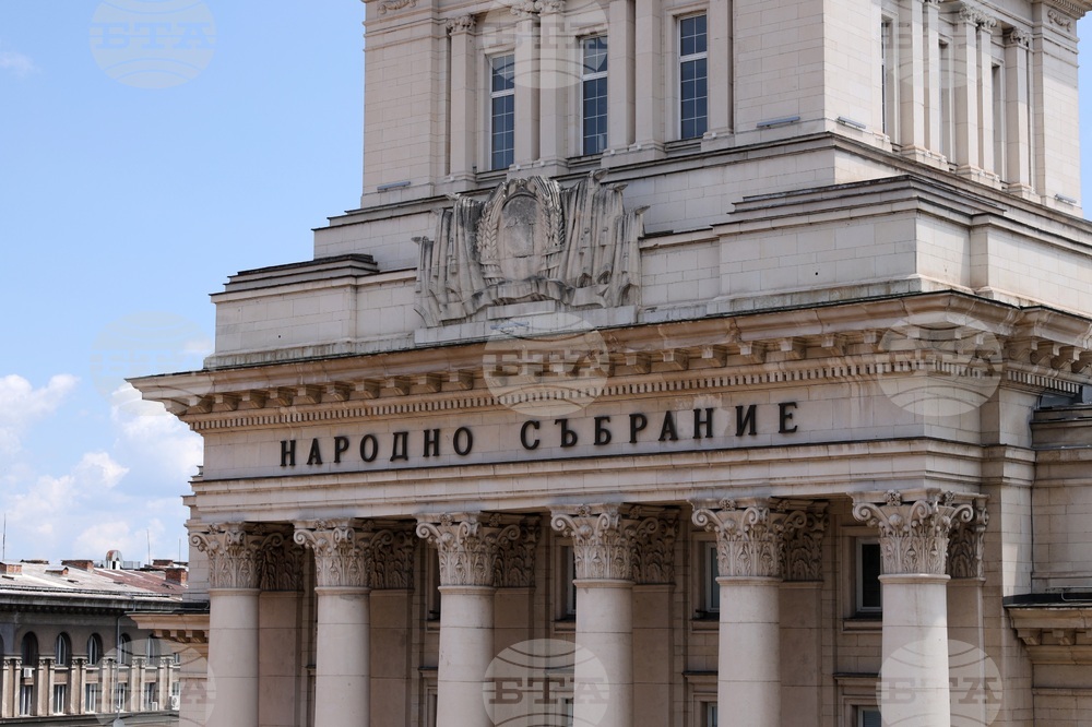 Столица - изглед