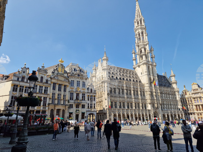 Белгия - Брюксел - предизборна обстановка