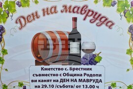 Село Брестник - фестивал - мавруд