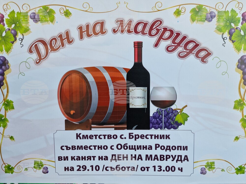 Село Брестник - фестивал - мавруд