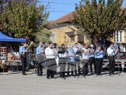 Снимка: Община Видин - Фестивал на виното и хорото в с. Гомотарци