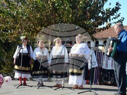 Снимка: Община Видин - Фестивал на виното и хорото в с. Гомотарци