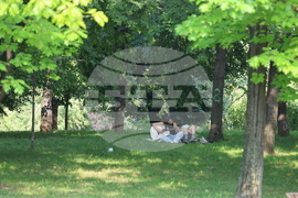 Ежедневие - хубаво време