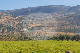 Турция - граница -  стена