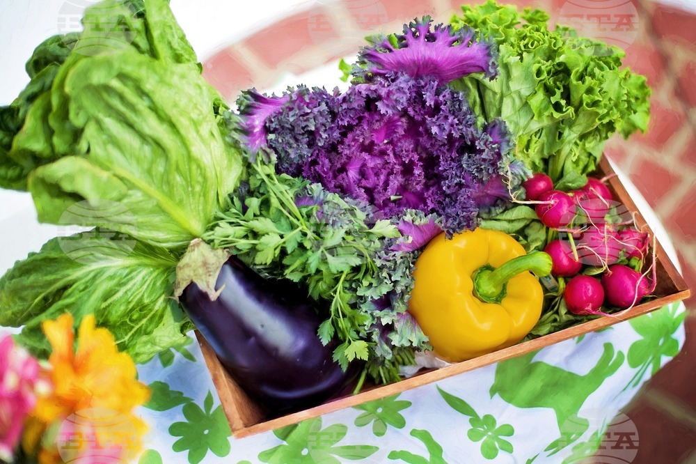 Fruit and Vegetables Appreciate Steadily in Mid-November