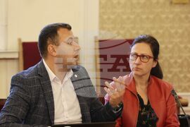 НС - временна комисия - заседание