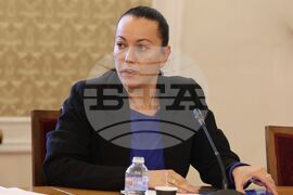 НС - временна комисия - заседание
