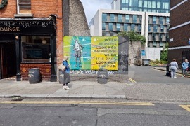 Ирландия - избори за Европейски парламент