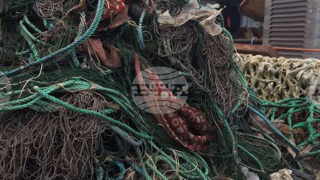 Romanian Researchers Warn of Serious Microplastic Pollution in Black Sea