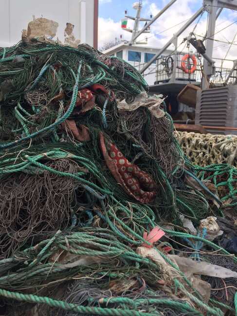 Romanian Researchers Warn of Serious Microplastic Pollution in Black Sea