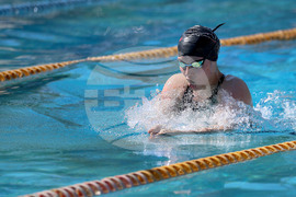 Варна - плуване - международен турнир "Black Sea Cup"
