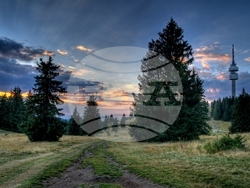 Снимка: Община Чепеларе