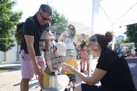 Ден на бащата