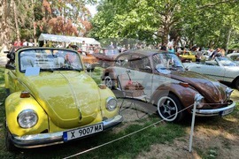 Русе - парада на ретро автомобили