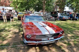 Русе - парада на ретро автомобили