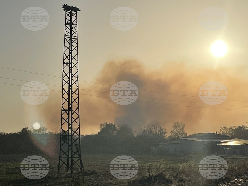 Пожар е възникнал в двора на оръжейния завод "Арсенал" в Казанлък, няма пострадали или опасност за сгради и съоръжения на предприятието