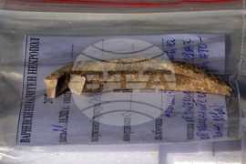 Варна - археология - Варненски некропол - разкопки