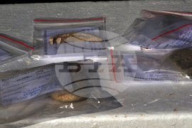 Варна - археология - Варненски некропол - разкопки