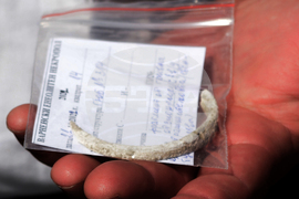 Варна - археология - Варненски некропол - разкопки