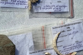 Варна - археология - Варненски некропол - разкопки