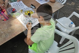 Русе - Регионален исторически музей - птици