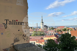 Естония - избори за Европейски парламент