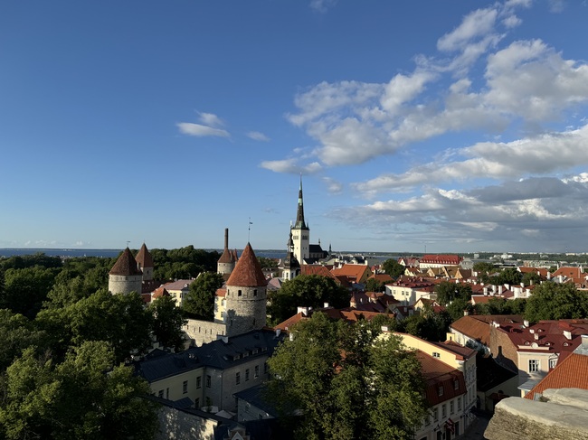Естония - избори за Европейски парламент