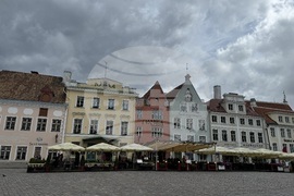 Естония - избори за Европейски парламент