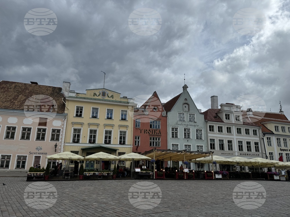 Естония - избори за Европейски парламент