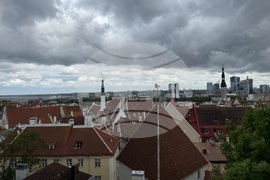 Естония - избори за Европейски парламент