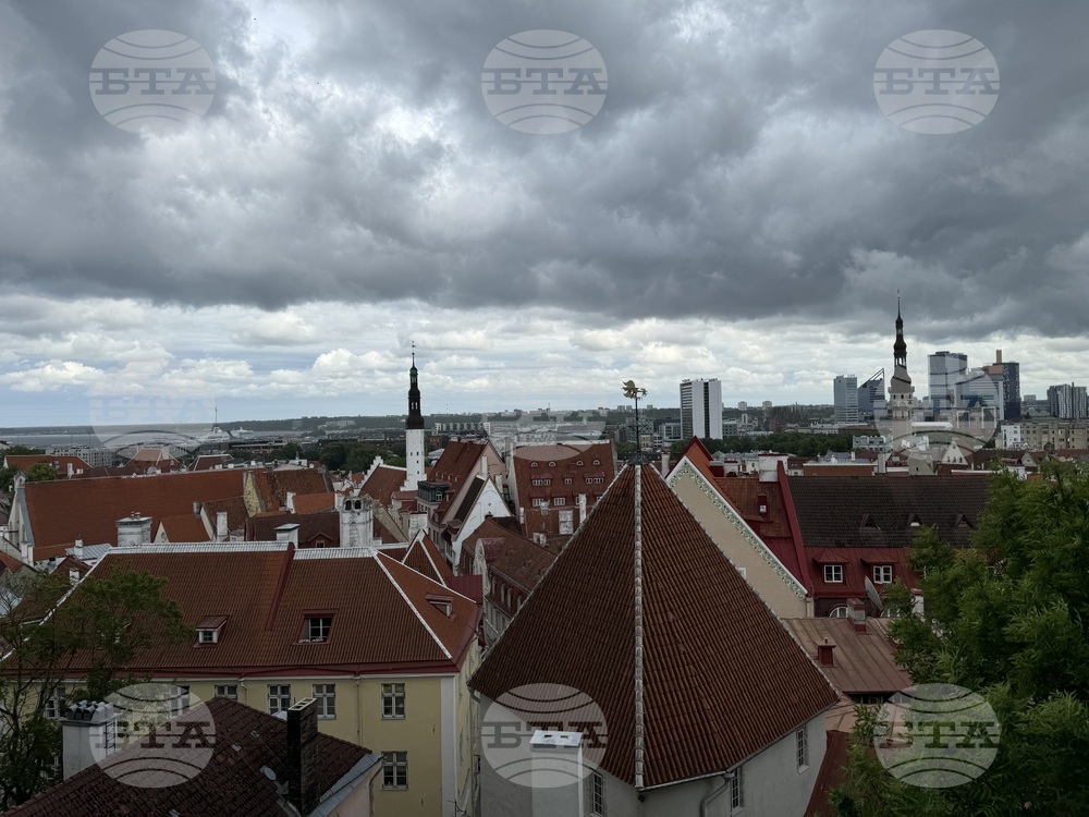 Естония - избори за Европейски парламент