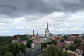 Естония - избори за Европейски парламент