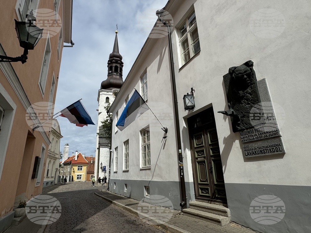 Естония - избори за Европейски парламент