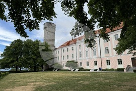 Естония - избори за Европейски парламент