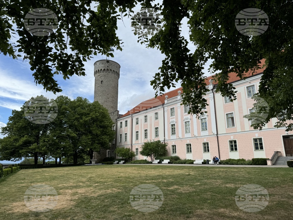 Естония - избори за Европейски парламент