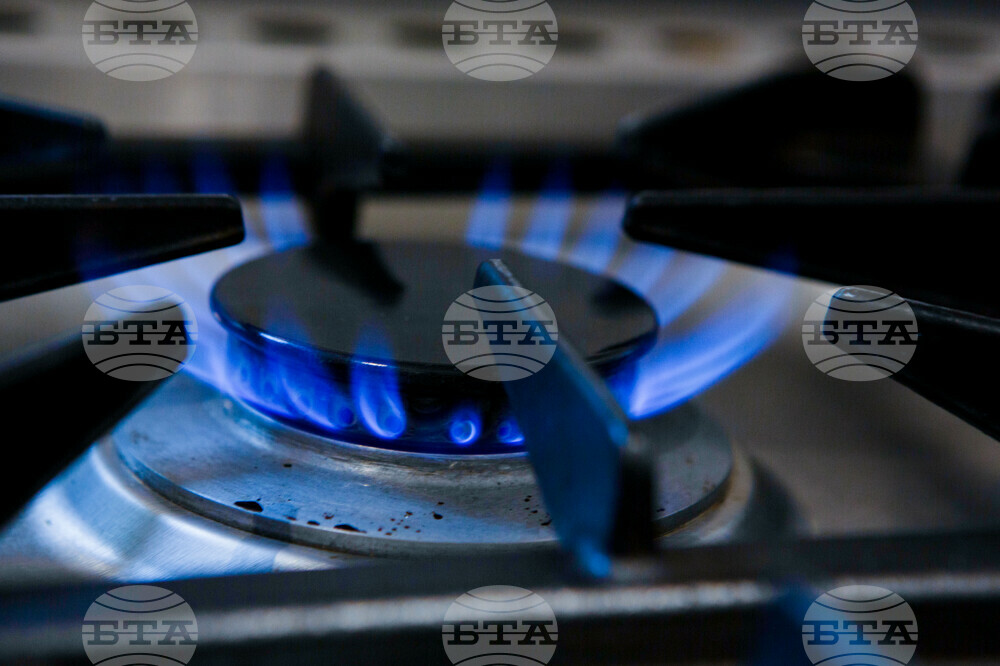 Bulgargaz Seeks 40% Month-on-Month Natgas Price Hike for January